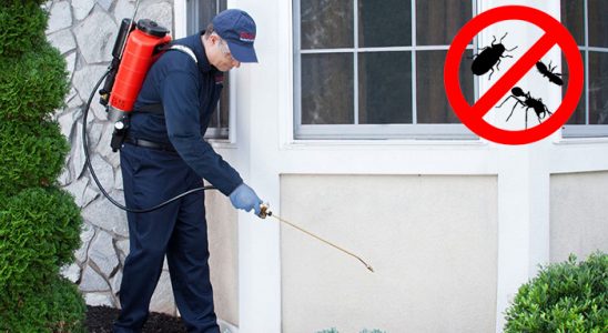 İzkent Fare İlaçlama böcek ilaçlama ve haşere kontrolü — ilaclama-tr.com